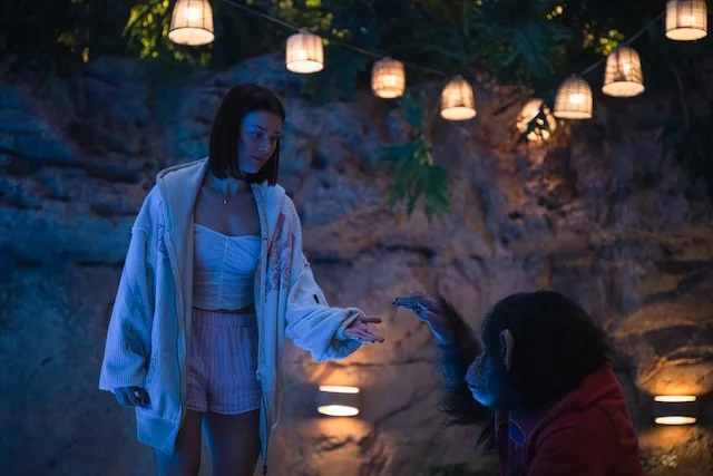 Paramount+ Unveils Exciting August 2026 Lineup: 'Lioness' Season 3 and More