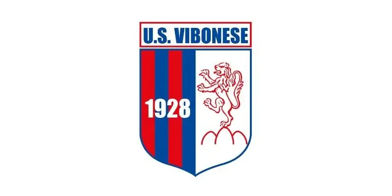 Vibonese Claims Narrow Victory Over Monopoli with Malafronte's Goal