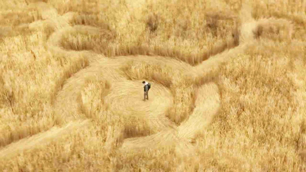 "A Twisted and Wonderfully Strange Object": Rated 3.9 out of 5, This is the Must-See Film of the Week!