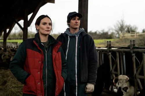 Film Review: La guerre des prix - A Social Thriller Unveiled