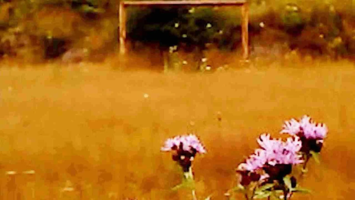 ‘Dry Leaf’: A Cinematic Experience Not to Be Missed